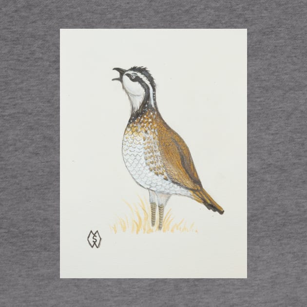 A bobwhite quail whistling a call by Matt Starr Fine Art